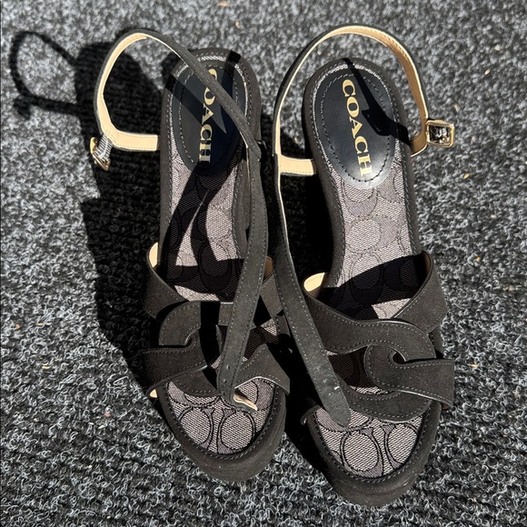 Coach Talina Suede Black Platform Sandals - Picture 6 of 16